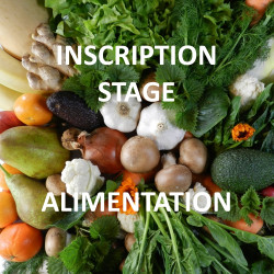 Stage Alimentation